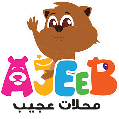 Ajeeb Stores